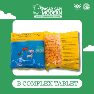 B COMPLEX TABLET