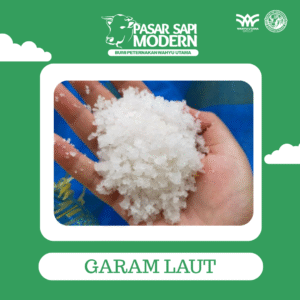 GARAM LAUT 1 KG