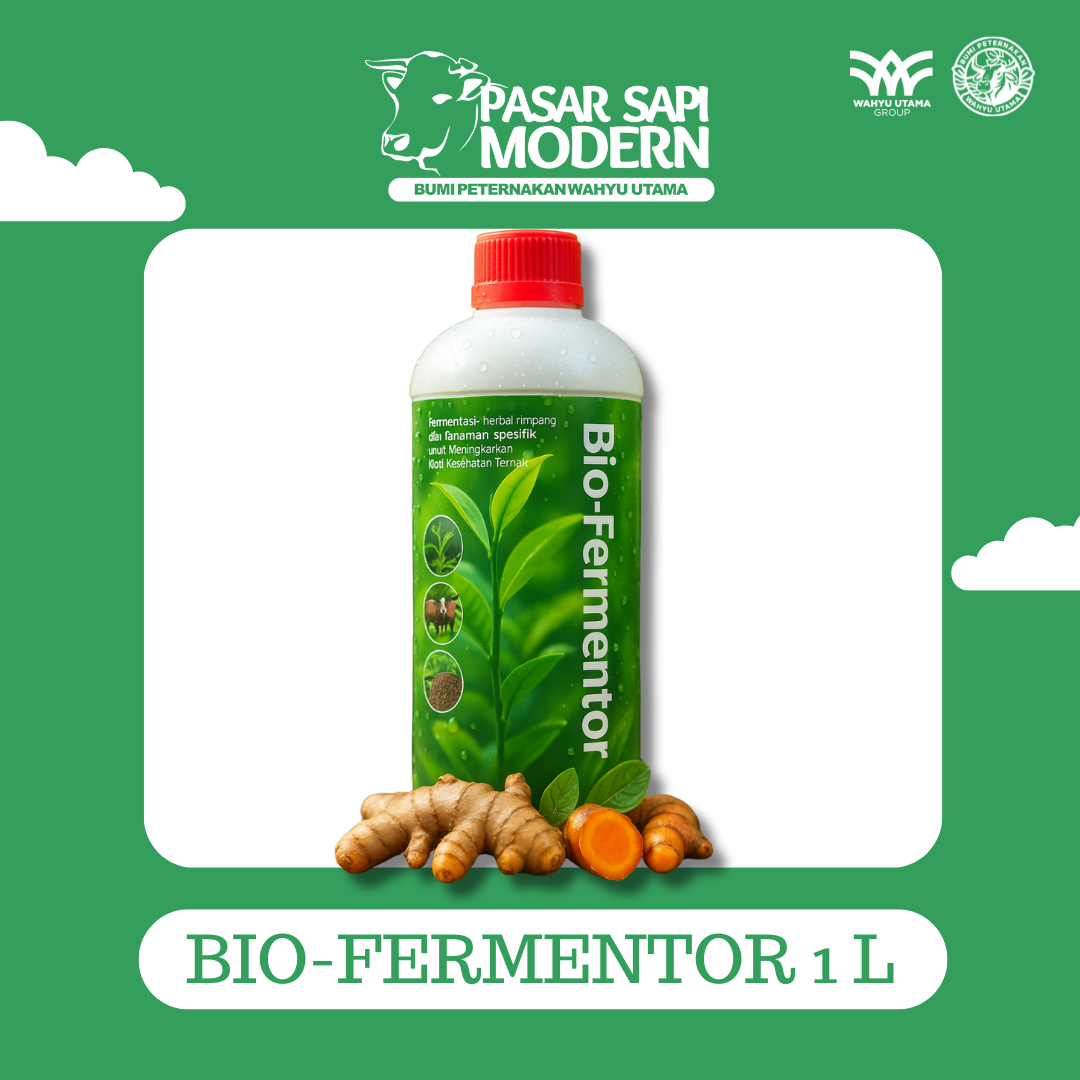 BIO-FERMENTOR 1 L