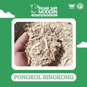 PONGKOL SINGKONG 1 KG