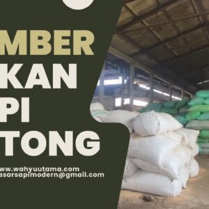 Pelatihan Membuat Pakan Ternak