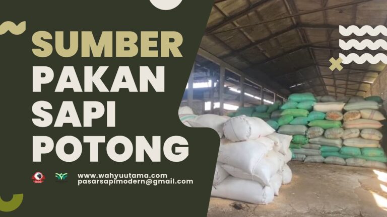 Pelatihan Membuat Pakan Ternak