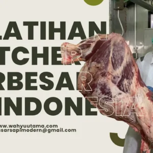 Pelatihan Butcher Indonesia