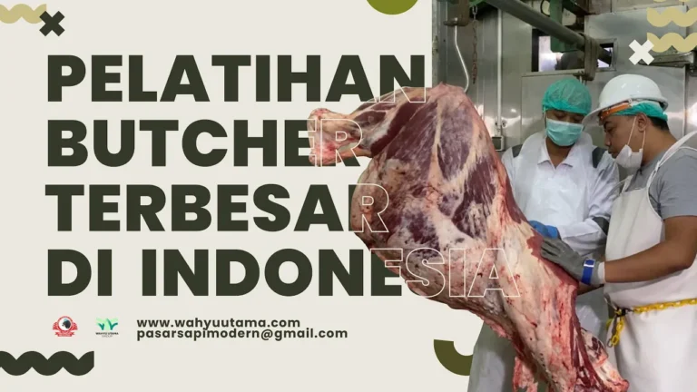 Pelatihan Butcher Indonesia