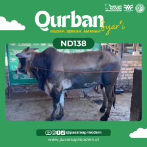 Sapi Pegon - Paket Medium - ND 138