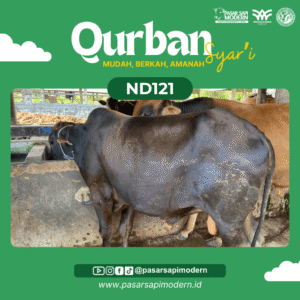 Sapi Angus - Paket Medium - ND 121