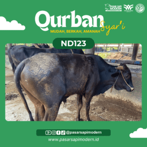 Sapi Angus - Paket Medium - ND 123