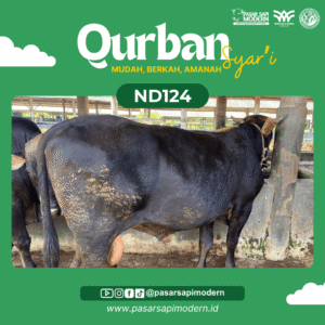 Sapi Angus - Paket Medium - ND 124