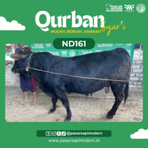 Sapi Angus - Paket Medium - ND 161