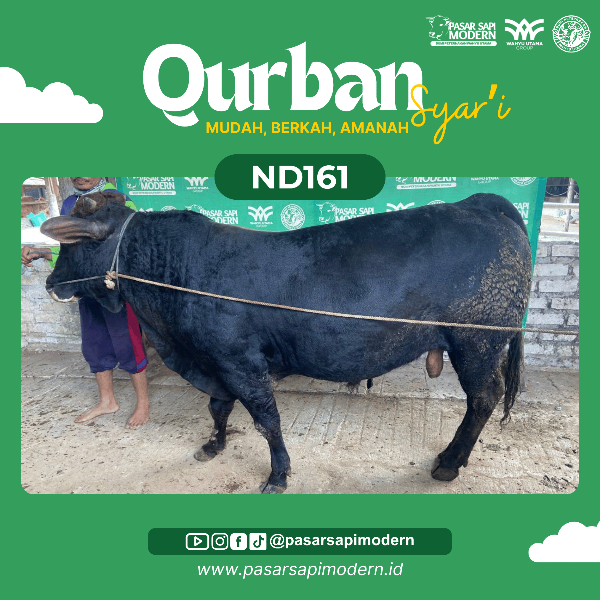 Sapi Angus - Paket Medium - ND 161
