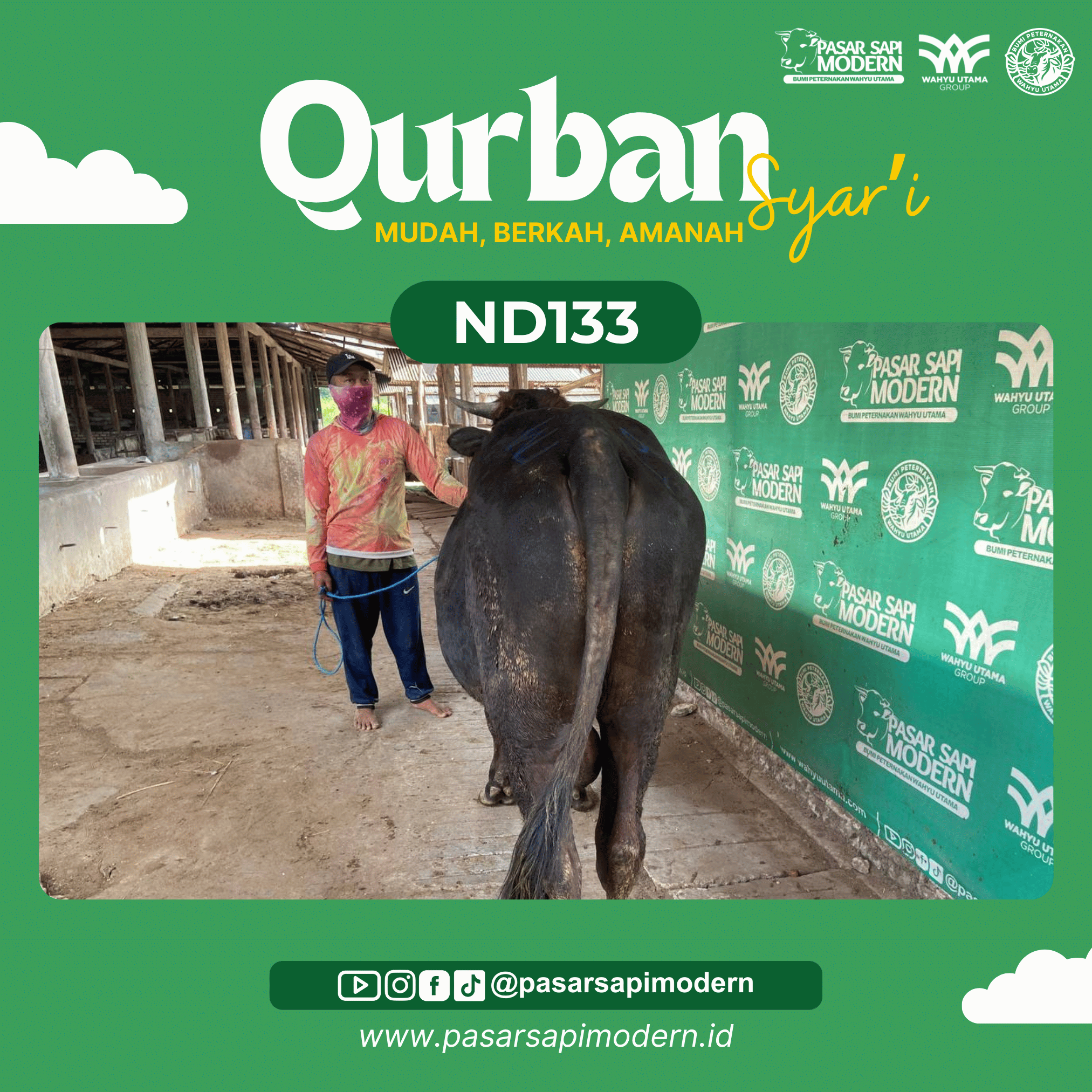 Sapi Angus - Paket Medium - ND 133 - Image 3