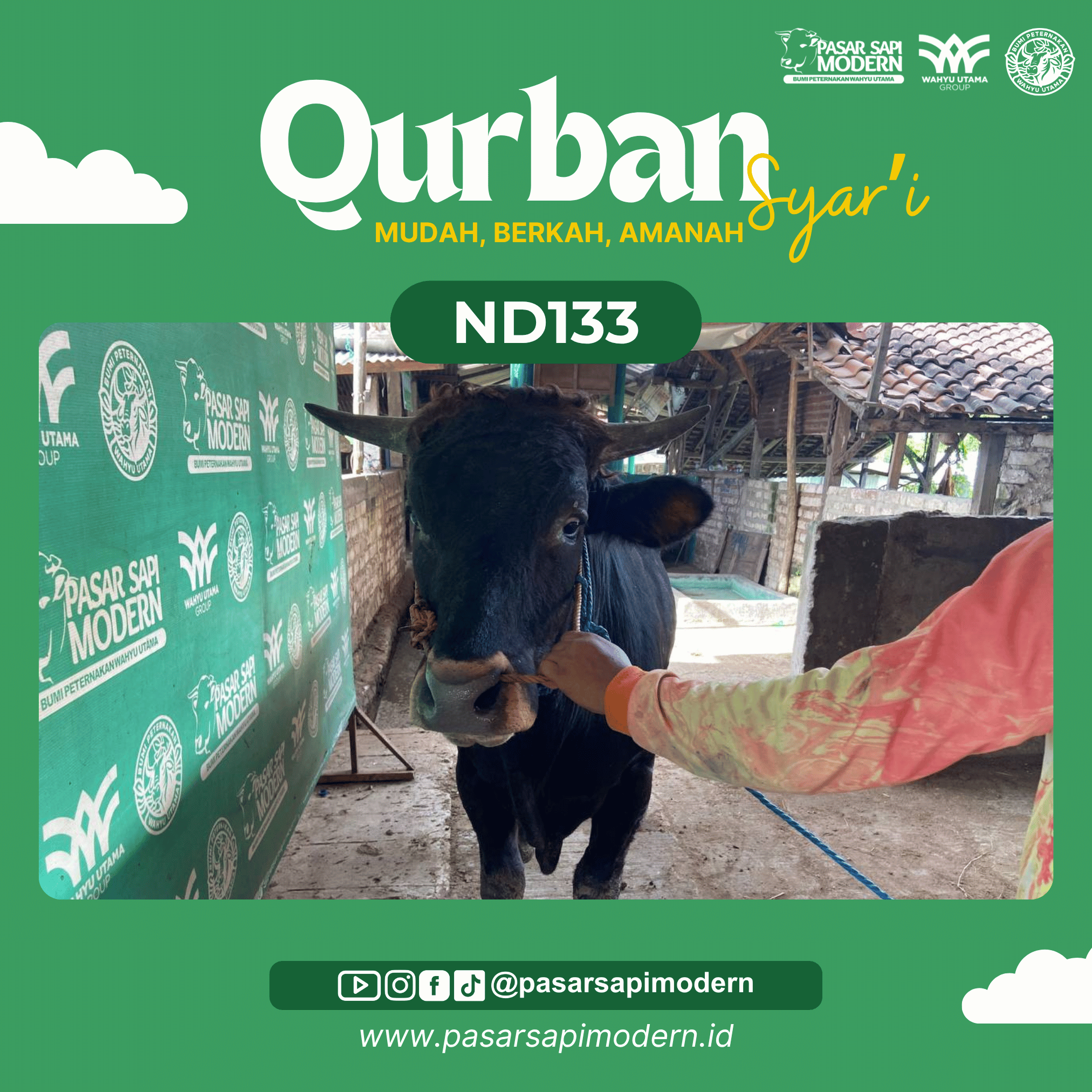 Sapi Angus - Paket Medium - ND 133 - Image 2