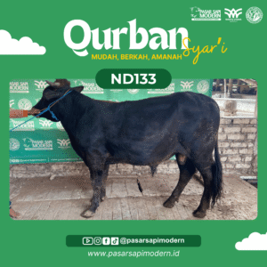 Sapi Angus - Paket Medium - ND 133
