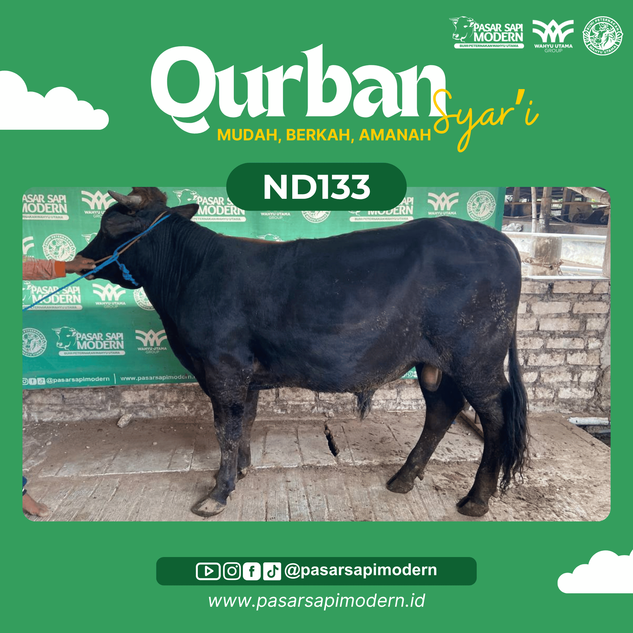 Sapi Angus - Paket Medium - ND 133