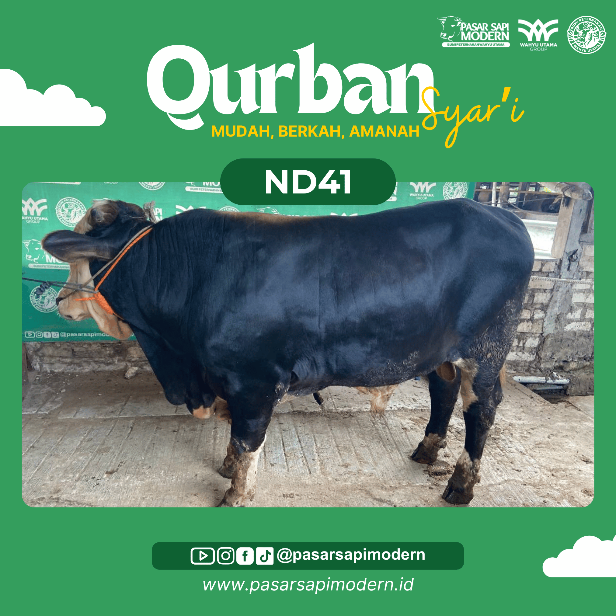 Sapi Angus - Paket Medium - ND 41