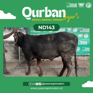 Sapi Angus - Paket Medium - ND 143