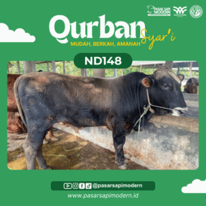 Sapi Angus - Paket Medium - ND 148